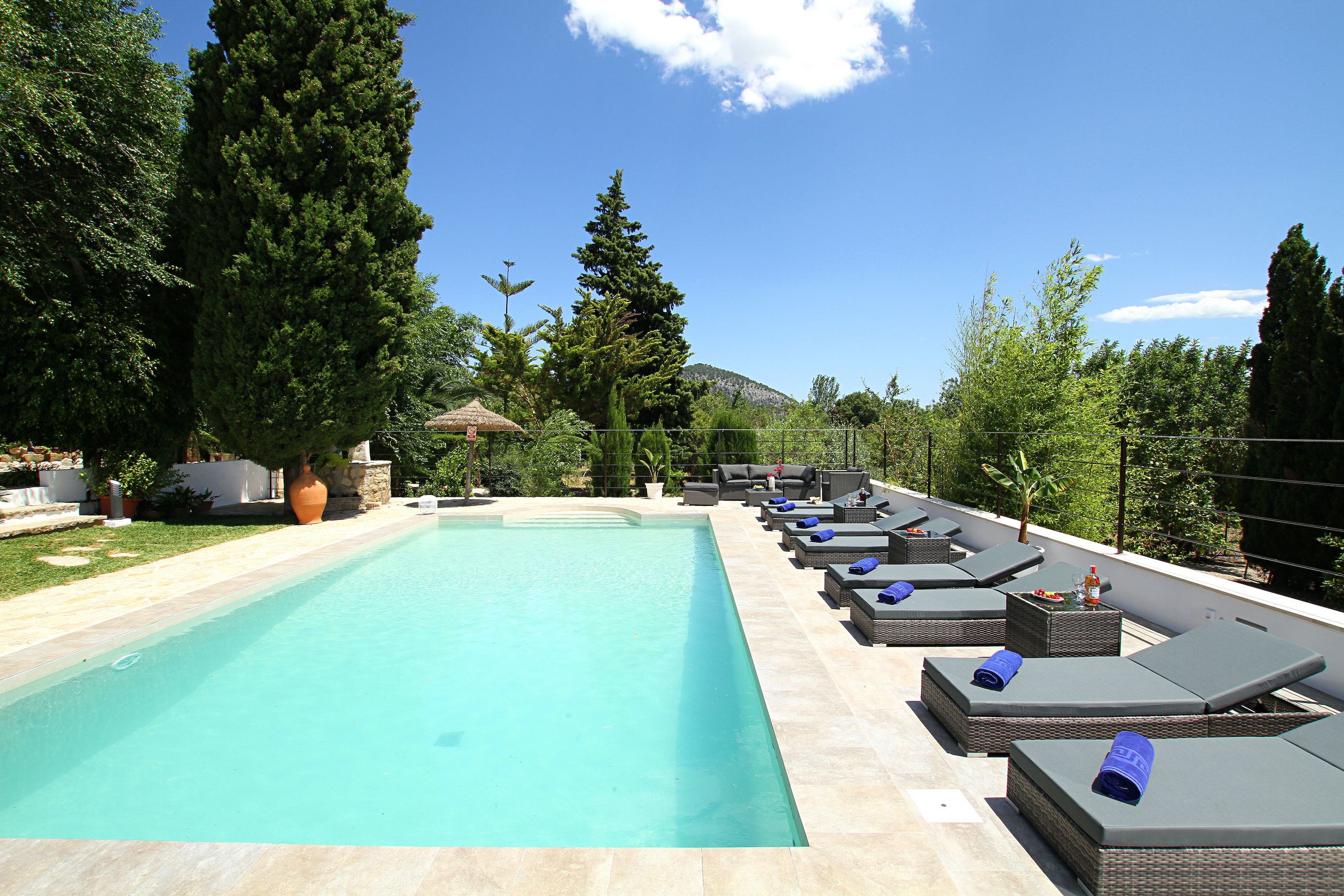 Pool and terrace